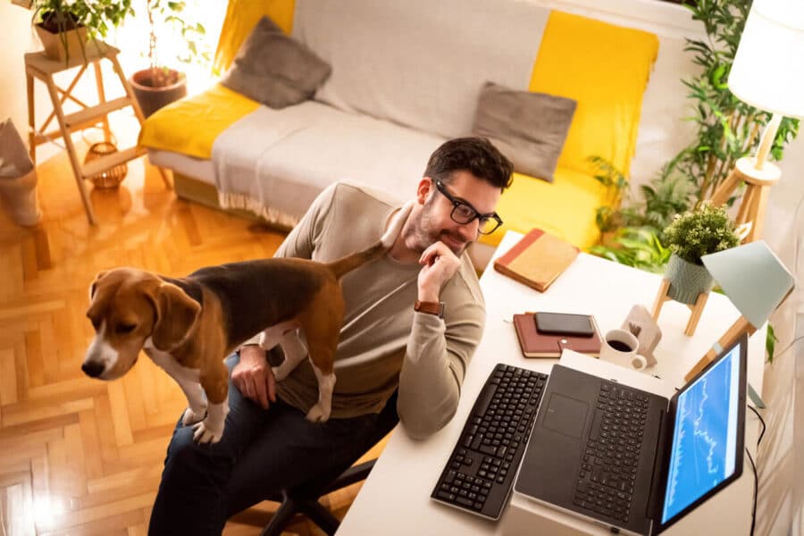 Caucasian man working on laptop screen, late at night from his home office, while his Beagle dog makes him company