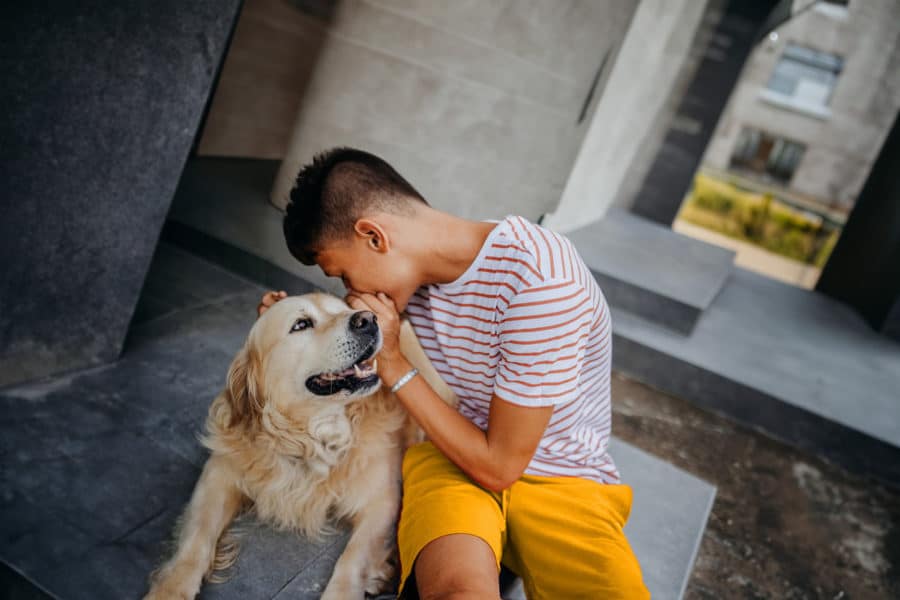 Boy and golden retriever playing in back yard