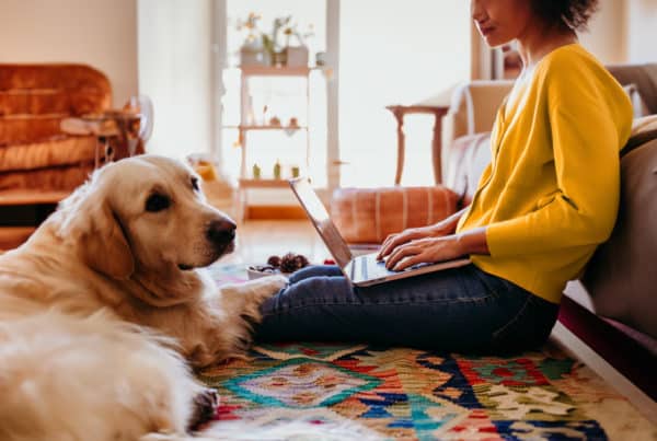 Woman researching the differences between a Redraw Vs Offset Account on her laptop whilst seated on the floor with her golden retriever dog.