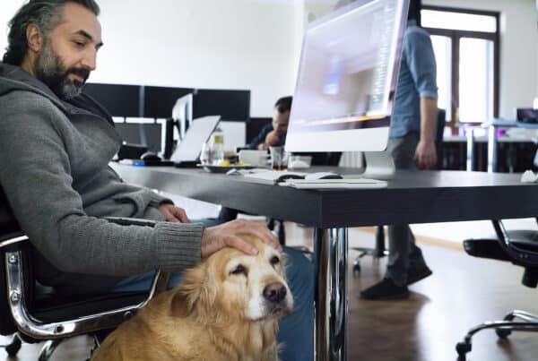 Man working at home office with Golden Retriever dog