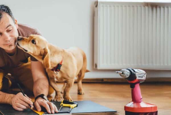 Man and his dog doing renovation work at home stock