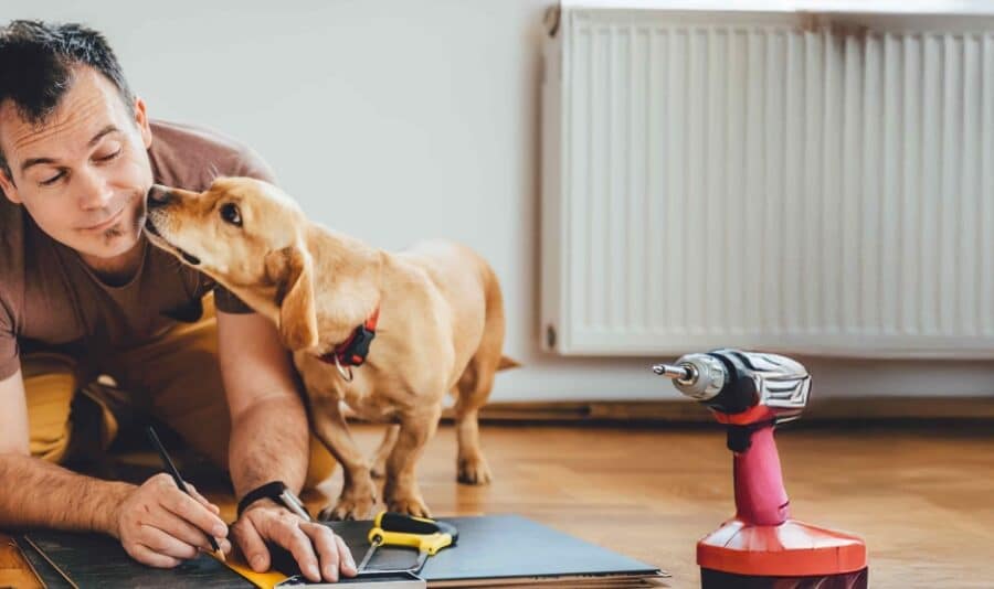Man and his dog doing renovation work at home stock