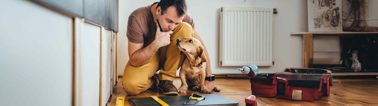 Man and his dog doing renovation work at home stock